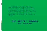 A tundra is a vast, level, treeless Arctic section of North America, Asia, and Europe in which the subsoil is always frozen. The Tundra covers most of.