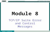 1 Version 3.1 modified by Brierley Module 8 TCP/IP Suite Error and Control Messages.
