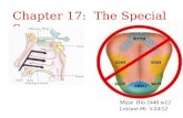 Chapter 17: The Special Senses Muse Bio 2440 w12 Lecture #6 5/24/12.
