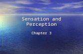 Sensation and Perception Chapter 3. What is sensation ? Your senses are the gateway through which your brain receives all information about it’s environment.