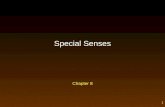 1 Chapter 8 Special Senses. 2 Outline Types of Sensory Receptors Functions of Sensory Receptors Sensations and Perceptions Cutaneous Receptors Sense of.