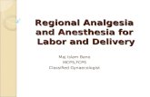 Regional Analgesia and Anesthesia for Labor and Delivery Maj Islam Bano MCPS,FCPS Classified Gynaecologist.