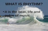 WHAT IS RHYTHM? it is the beat, life and pulse of music.