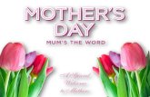 When did Mother’s Day start? Proverbs 31:10-31 8 Mothers in the Bible EVESARAH REBEKAH JOCHEBED HANNAH BATHSHEBA ELIZABETH MARY WOMEN OF THE BIBLE.