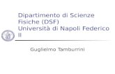 Dipartimento di Scienze Fisiche (DSF) Università di Napoli Federico II Guglielmo Tamburrini.
