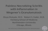 Painless Necrotizing Scleritis with Inflammation in Wegener’s Granulomatosis Divya Mutyala, M.D. Robert S. Feder, M.D. Feinberg School of Medicine Northwestern.