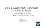 DePaul Assessment Certificate Culminating Project Assessment of STEM Center Algebra Initiative Learning Outcome Max Barry Department Assistant STEM Center.