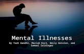 Mental Illnesses By Yash Gandhi, Mariah Kock, Emily Geisler, and Samuel Saldinger.