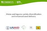 Maize and legume variety diversification and enhanced seed delivery.