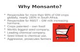 Why Monsanto? Responsible for more than 90% of GM crops globally, nearly 100% in South Africa. Responsible for RBST – GM milk increasing hormone, Crops.
