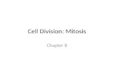 Cell Division: Mitosis Chapter 8. Prokaryotic Cell Division Binary fission: dividing in half Steps – Chromosomes duplicate and move to ends of cell –