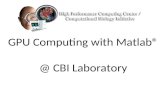 GPU Computing with Matlab® @ CBI Laboratory. Overview GPU History & Hardware – GPU History – CPU vs. GPU Hardware – Parallelism Design Points GPU Software.