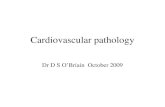 Cardiovascular pathology Dr D S O’Briain October 2009.