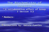 The Biochemistry of Jaundice  A collaborative effort of Group 3 Section 1C2  Members:  Animations by: Gerald Fuentes.