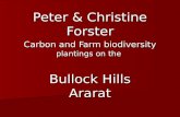 Peter & Christine Forster Carbon and Farm biodiversity plantings on the Bullock Hills Ararat.