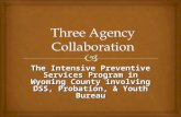 The Intensive Preventive Services Program in Wyoming County involving DSS, Probation, & Youth Bureau.