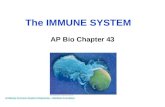 The IMMUNE SYSTEM AP Bio Chapter 43 Antibody Immune System Response - Medical Animation.
