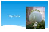 Opioids.  Opium: Dried latex from the opium poppy Papaver Somniferum  Opioid: Natural or synthetic pharmaceutical which has an affinity to the opioid.