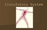 Circulatory System. The Circulatory System Circulatory system is made up of blood, the heart, and blood vessels.
