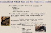 Institutional Animal Care and Use Committee (IACUC) The IACUC provides internal oversight of animal: - husbandry - facilities - use in teaching & research.