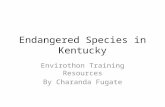 Endangered Species in Kentucky Envirothon Training Resources By Charanda Fugate.
