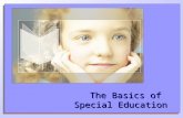 The Basics of Special Education. Steps: The Basics of Special Education Process under IDEA Step 1. Step 1. Child is identified as possibly needing special.