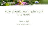 How should we implement the BAP? Heather Ball BAP Coordinator.