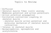 Topics to Review Diffusion Skeletal muscle fiber (cell) anatomy Membrane potential and action potentials Action potential propagation Excitation-contraction.