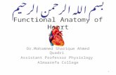 Functional Anatomy of Heart Dr.Mohammed Sharique Ahmed Quadri Assistant Professor Physiology Almaarefa College 1.