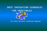 DRIP IRRIGATION SCHEDULES FOR VEGETABLES By: Kerry Harrison, Extension Engineer.