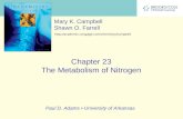 Chapter 23 The Metabolism of Nitrogen Mary K. Campbell Shawn O. Farrell  Paul D. Adams University of Arkansas.