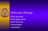 Molecular Biology DNA Structure DNA Replication RNA Structure Transcription Translation.