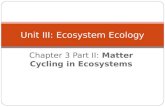 Chapter 3 Part II: Matter Cycling in Ecosystems Unit III: Ecosystem Ecology.