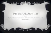 PHYSIOLOGY 1B By: Ryan Batten, Taylor Olson, Chloe Arnold, Sophie Charlot, and Reid Ponder.
