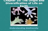 Chapter 10: The Origin and Diversification of Life on Earth Understanding biodiversity Lectures by Mark Manteuffel, St. Louis Community College.