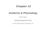 Chapter 12 Anatomy & Physiology Fifth Edition Seeley/Stephens/Tate (c) The McGraw-Hill Companies, Inc.