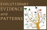 EVOLUTIONARY EVIDENCE and PATTERNS. ARTIFICIAL SELECTION.