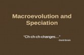 Macroevolution and Speciation “Ch-ch-ch-changes…” -David Bowie.