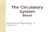 The Circulatory System Blood Anatomy & Physiology II Chapter 13.