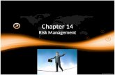 Chapter 14 Risk Management. 14.1: Overview of Risk Management GOALS » Identify the types of risks facing businesses » Describe ways that businesses can.