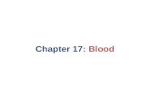 Chapter 17: Blood. Overview Blood functions Whole blood composition Plasma Erythrocytes (RBCs) – structure, function, and development Blood types WBCs.