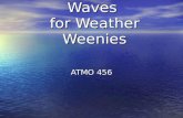 Waves for Weather Weenies ATMO 456. Wave (and Marine Wind) Forecasting Purview of the Meteorologist Purview of the Meteorologist –National Weather Service.