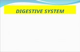 DIGESTIVE SYSTEM. FUNCTIONS 1. Ingestion. 2. Digestion. 3. Absorption. 4. Defecation.