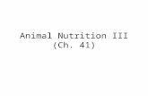 Animal Nutrition III (Ch. 41). Keywords Ruminant digestion Symbiosis –Definition –Algal-invertebrate –Chemoautotroph- invertebrate Hydrothermal vent H.