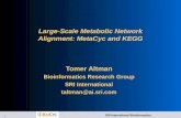 1 SRI International Bioinformatics Large-Scale Metabolic Network Alignment: MetaCyc and KEGG Tomer Altman Bioinformatics Research Group SRI International.