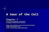 A tour of the Cell Chapter 7  .