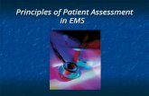 Principles of Patient Assessment in EMS. Focused History and Physical Exam of the Patient with Abdominal Pain.