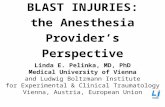 BLAST INJURIES: the Anesthesia Provider’s Perspective Linda E. Pelinka, MD, PhD Medical University of Vienna and Ludwig Boltzmann Institute for Experimental.