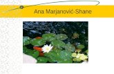 Ana Marjanović-Shane. Education University of Pennsylvania, –Metaphor Beyond Play University of Belgrade, –Development of Understanding Word Sense (Point)