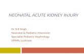 NEONATAL ACUTE KIDNEY INJURY Dr N K Singh Neonatal & Pediatric Intensivist Specialist Pediatric Nephrology VPIMS, Lucknow.